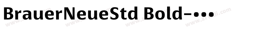 BrauerNeueStd Bold字体转换